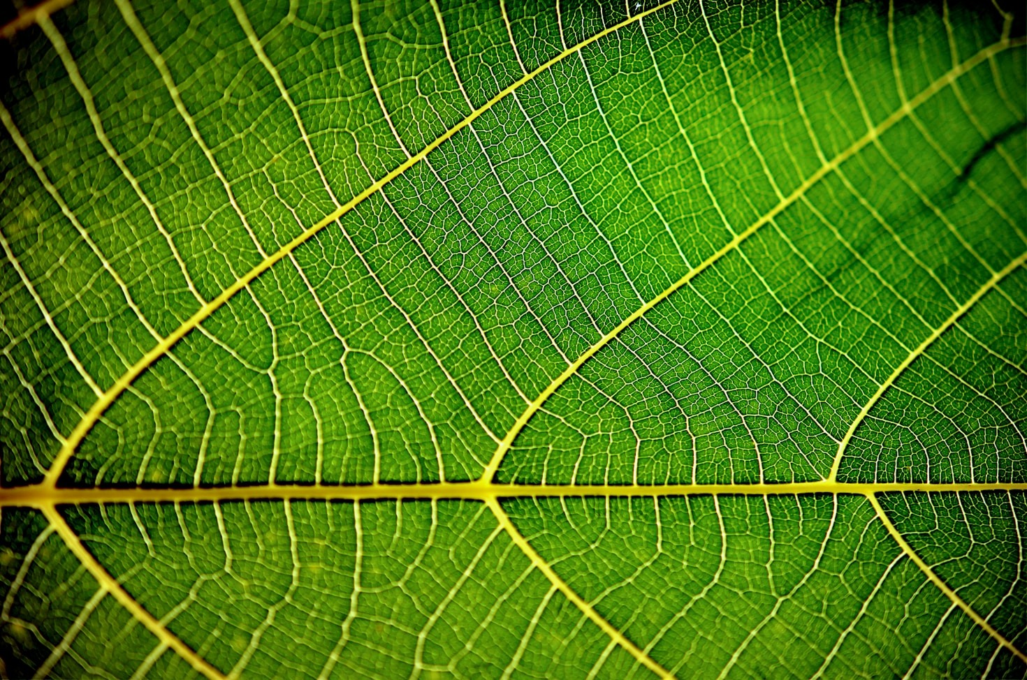 Inspiring Stories of Growth and Collaboration